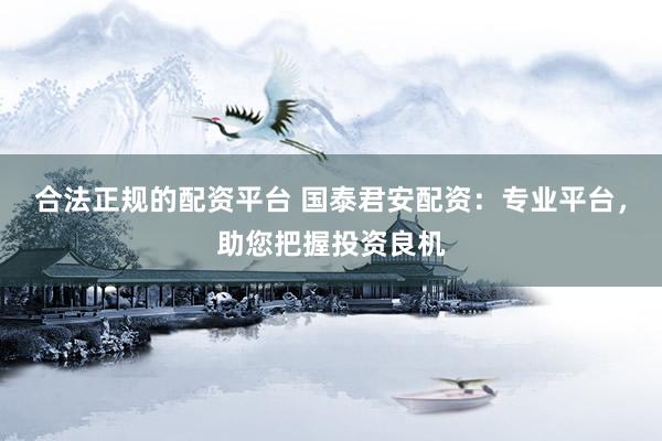 合法正規(guī)的配資平臺(tái) 國(guó)泰君安配資：專業(yè)平臺(tái)，助您把握投資良機(jī)